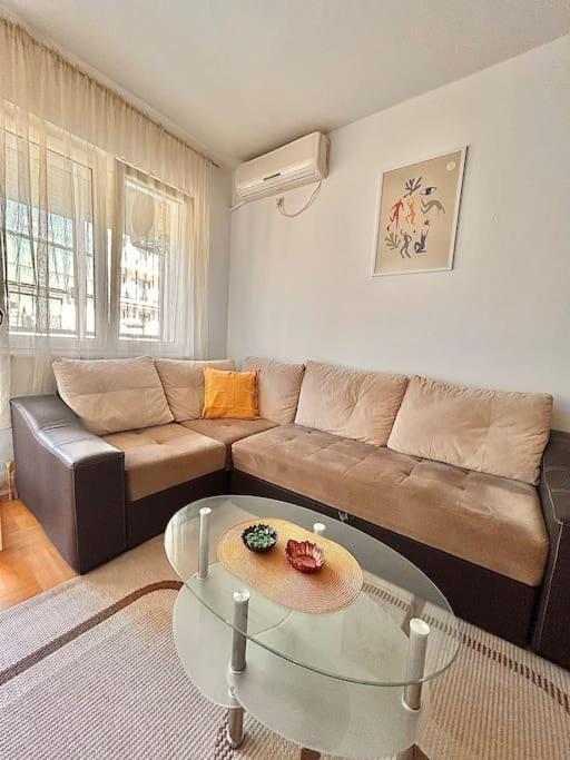 Cozy, Charming One Bedroom Apt Podgorica Bagian luar foto