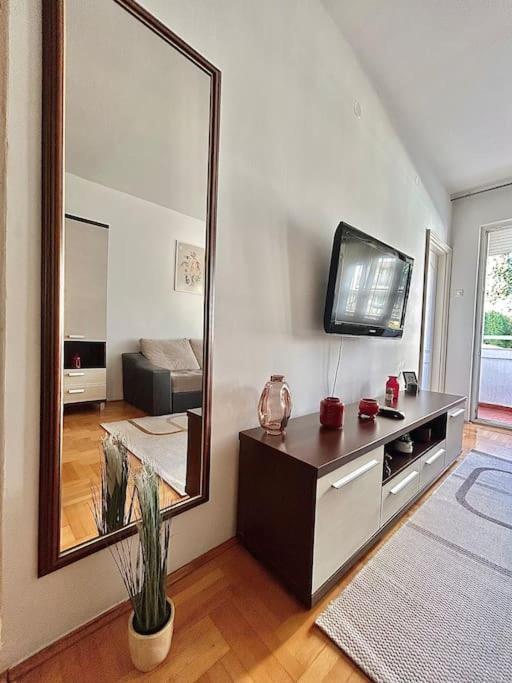 Cozy, Charming One Bedroom Apt Podgorica Bagian luar foto
